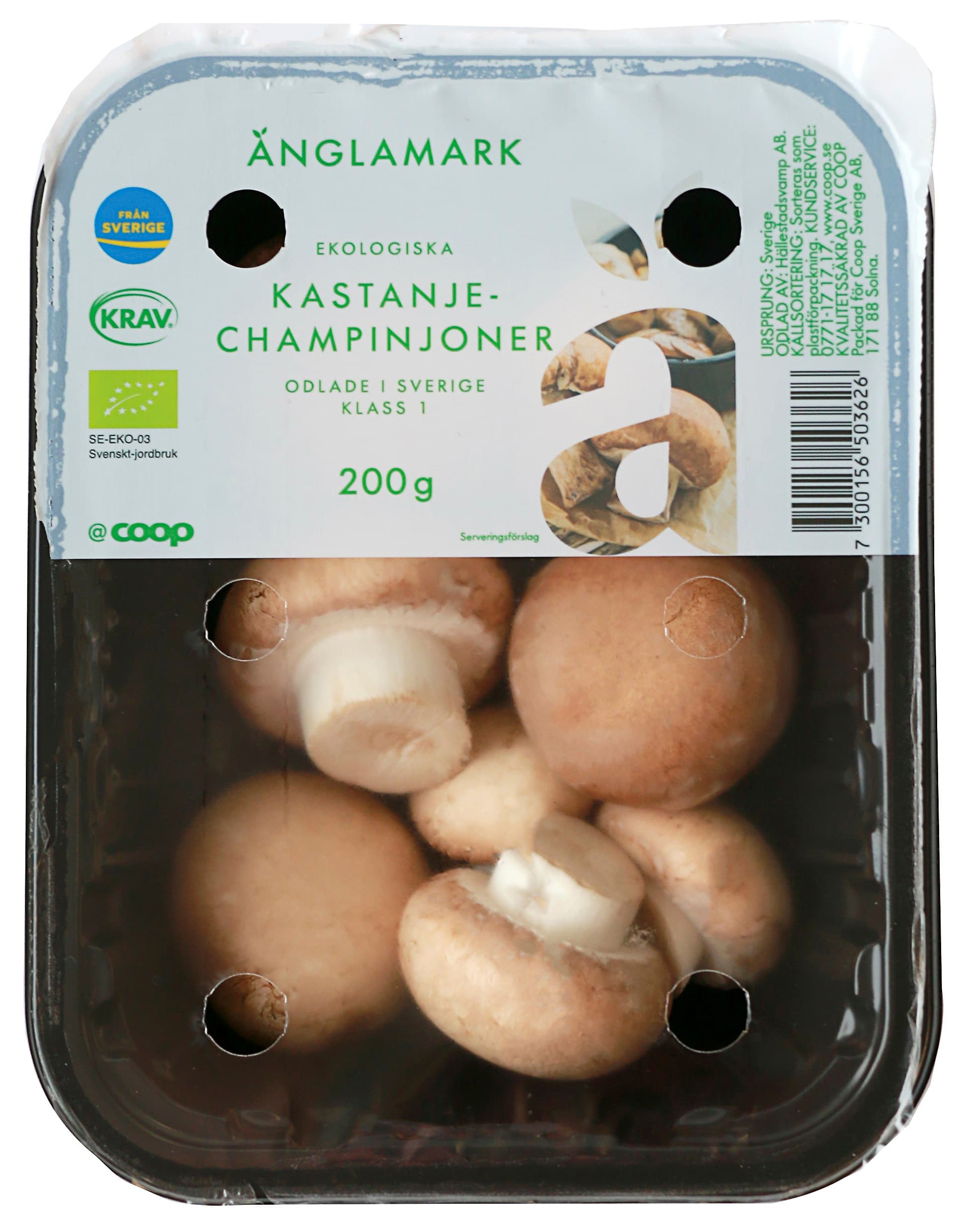 Kastanjechampinjoner Eko