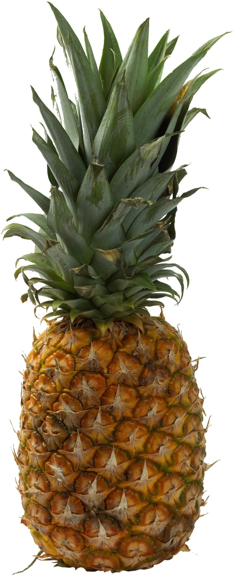 Ananas Stor