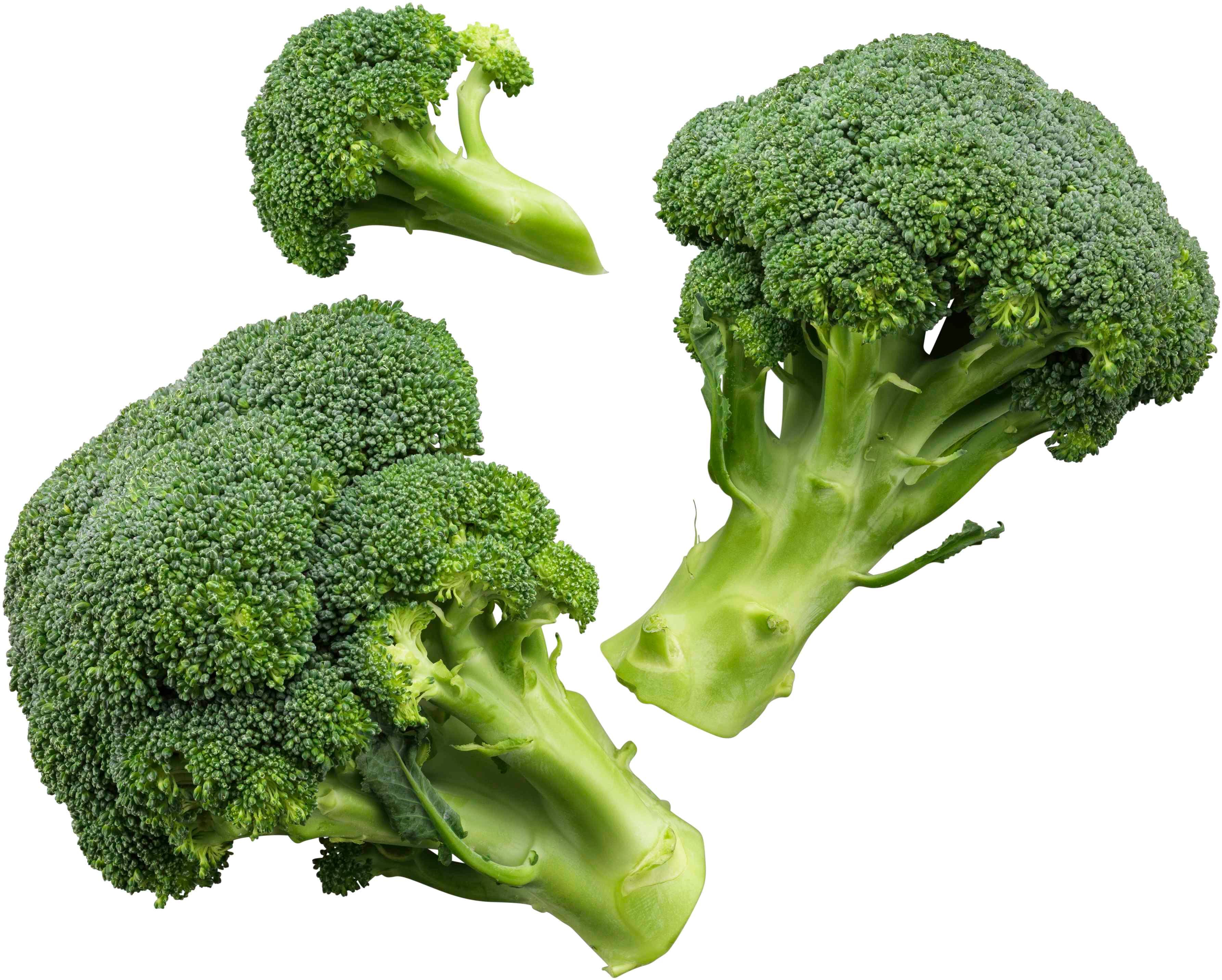 Broccoli