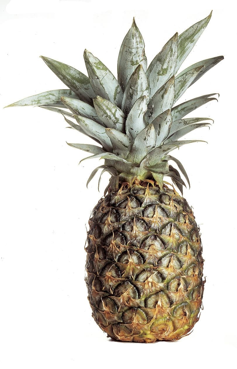 Ananas