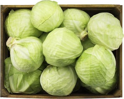 Vitkål Färsk