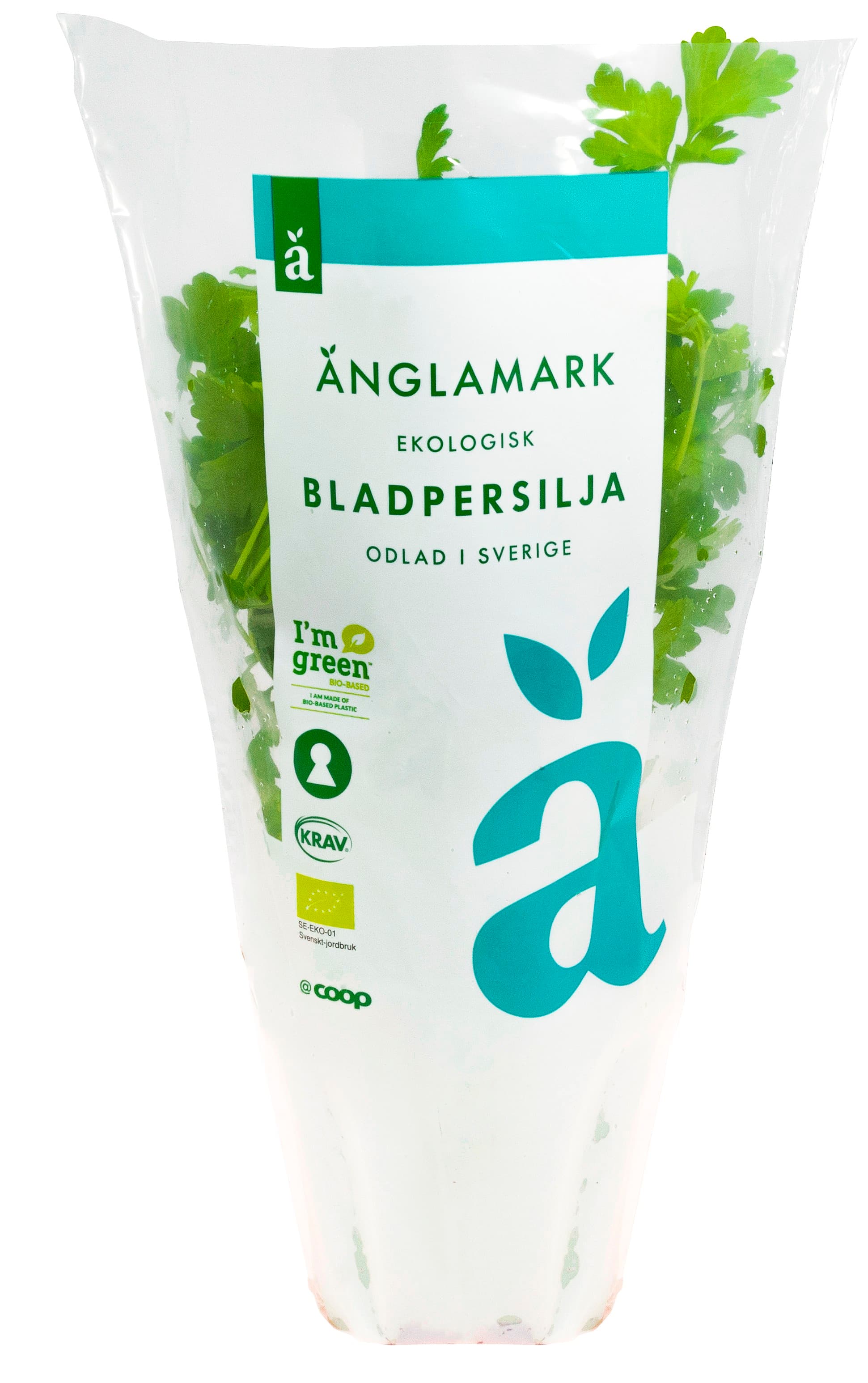 Bladpersilja Kruka Eko