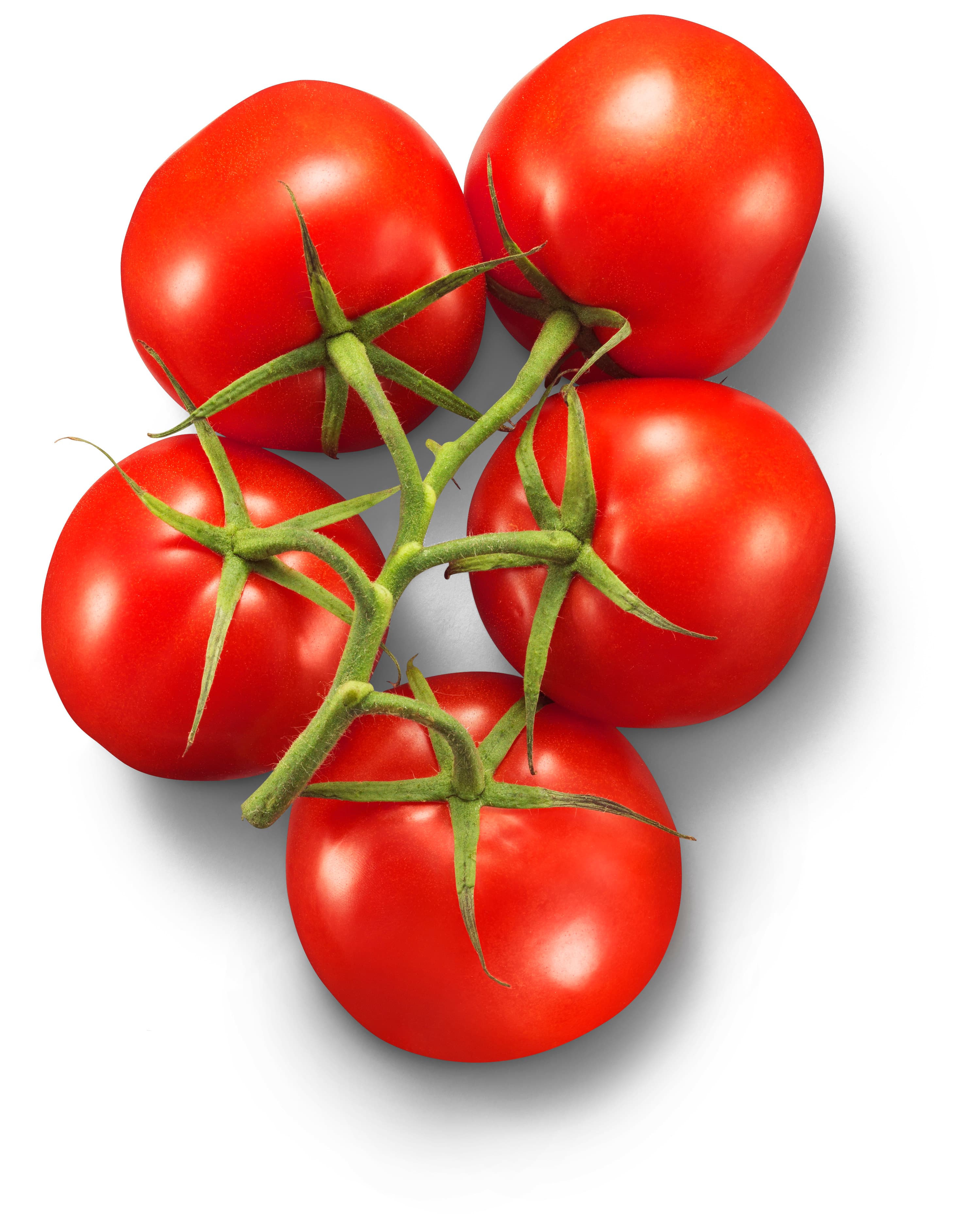 Cocktailkvisttomater