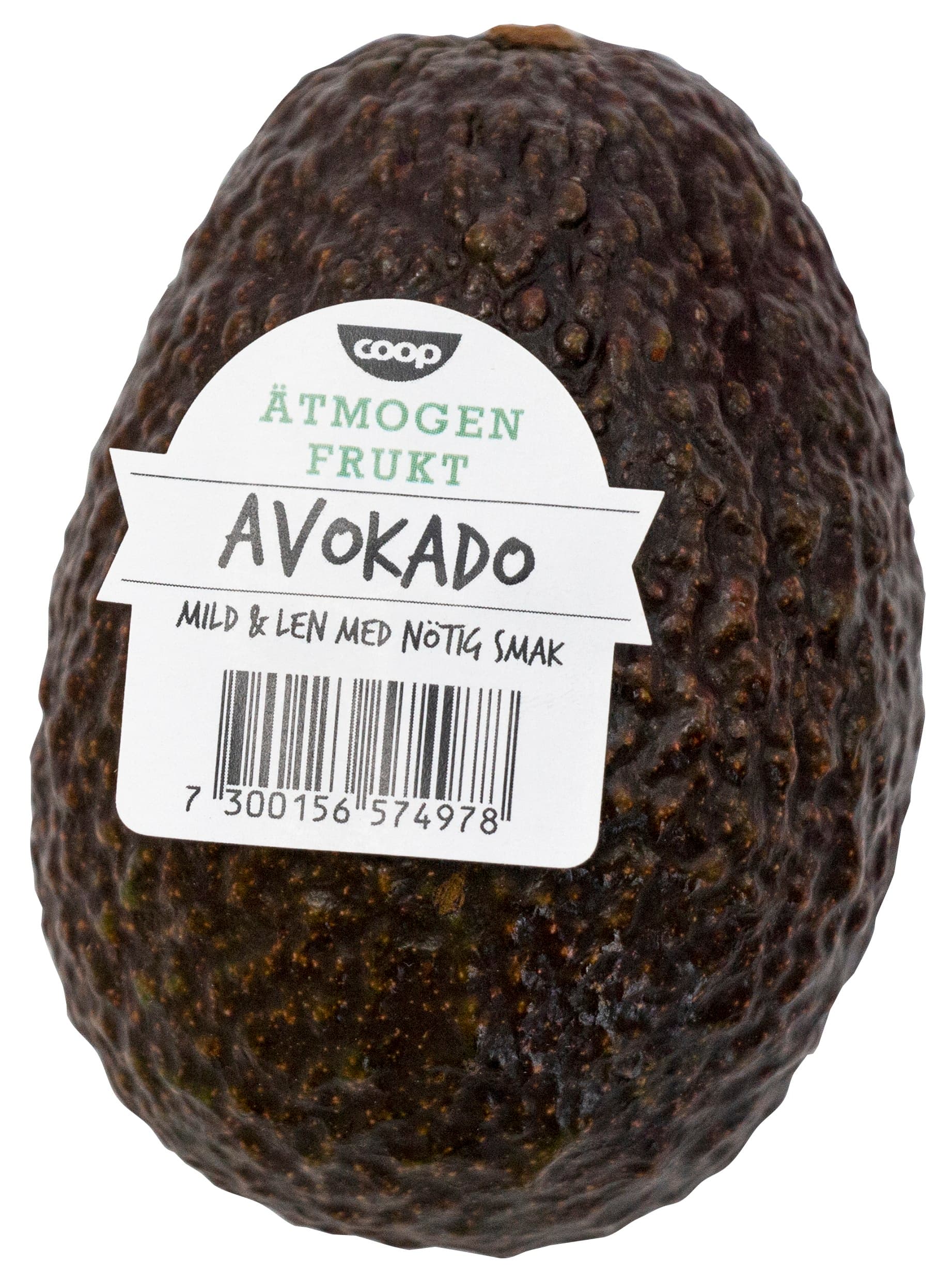 Avokado