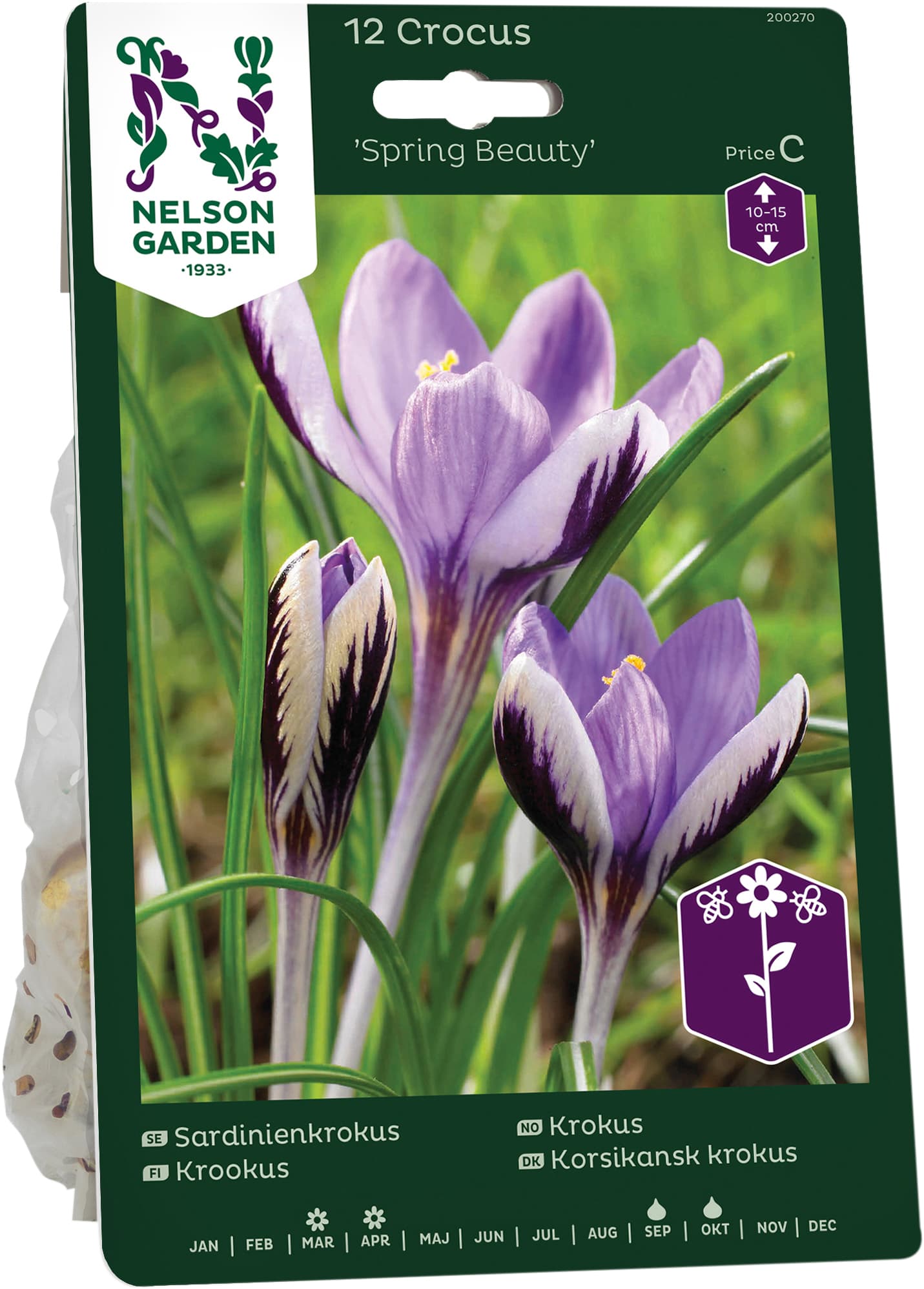 Höstlök Sardinienkrokus Spring Beauty