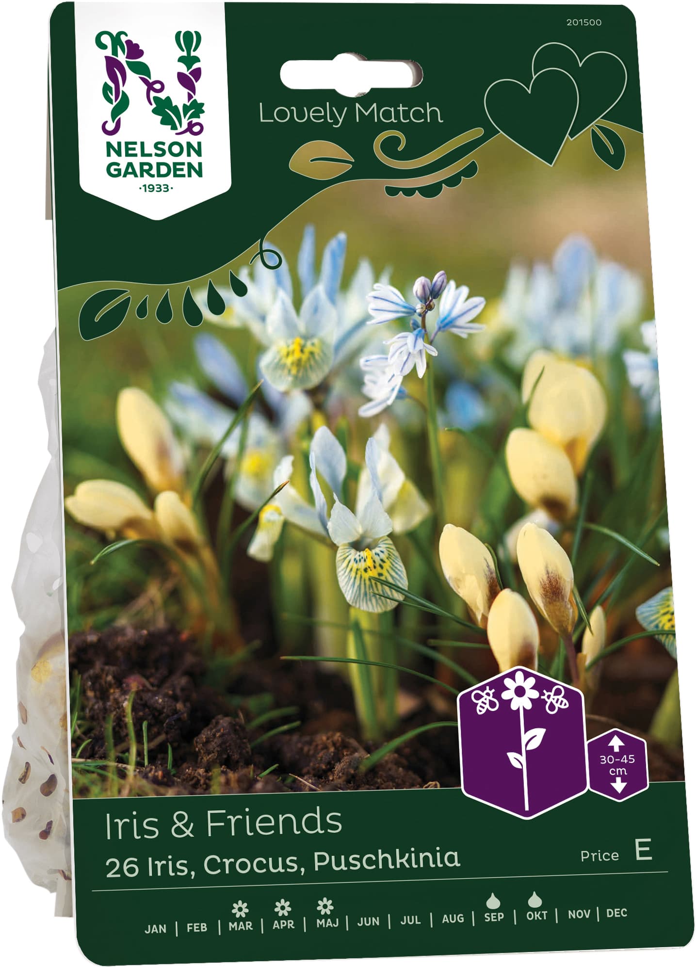 Höstlök Iris, Krokus, Porslinshyacint