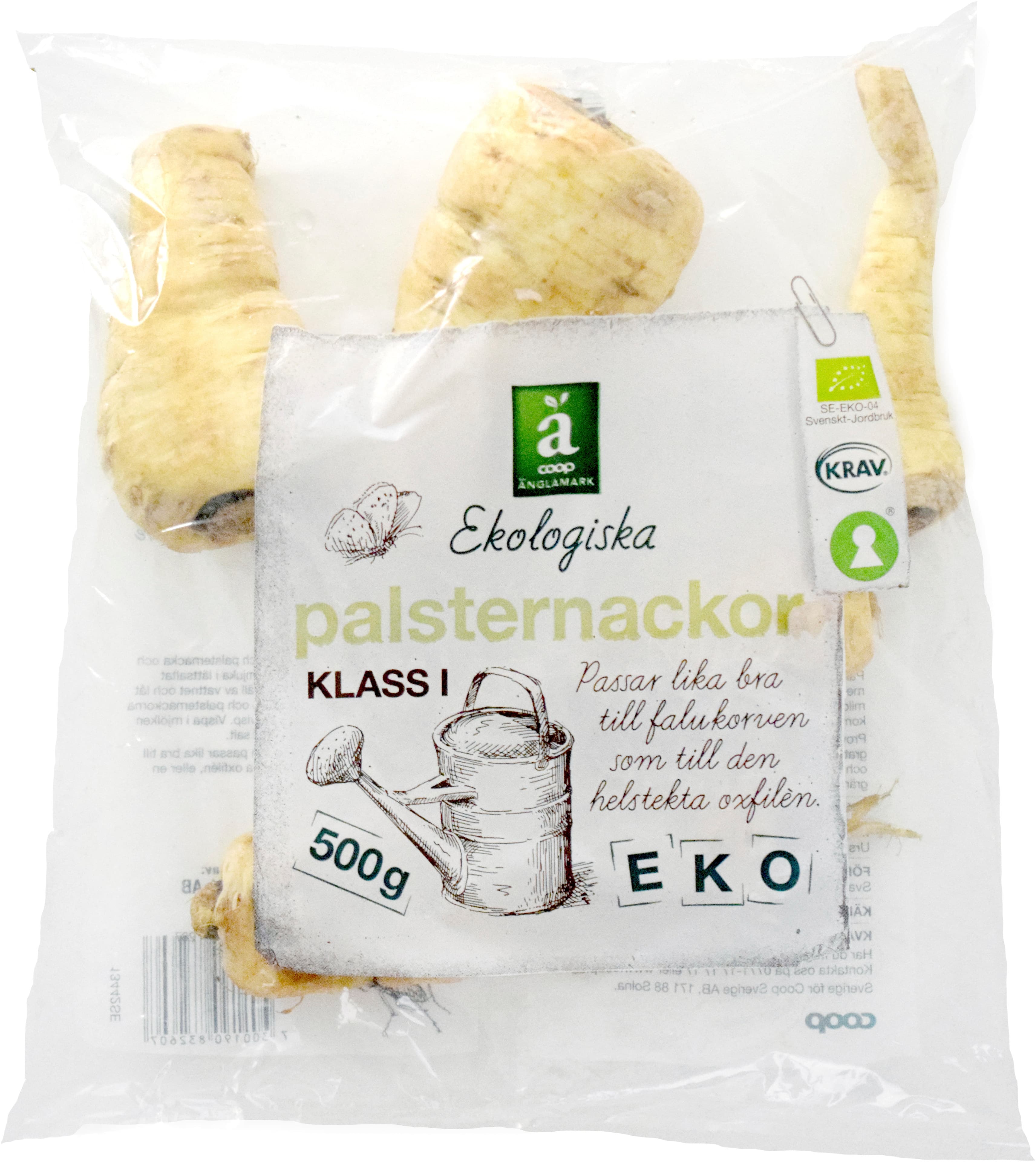 Palsternacka Eko
