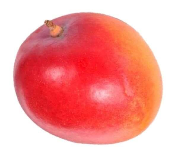 Mango Jumbo Klass 1