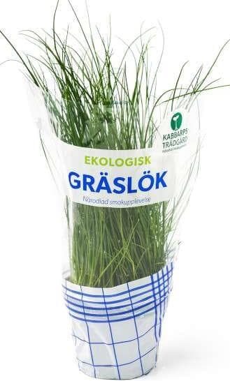 Gräslök, Klass 1 EKO