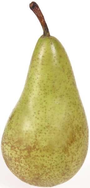 Päron Conference Eko Klass 1