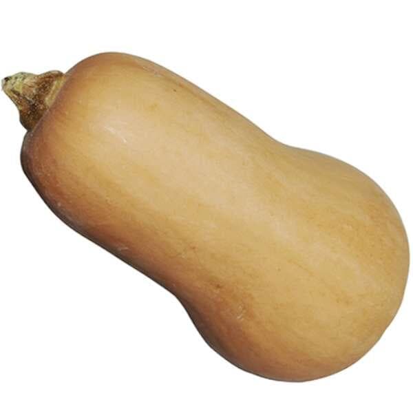Pumpa Butternut