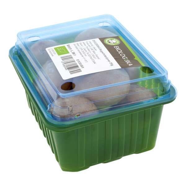 Svamp Skogschampinjon