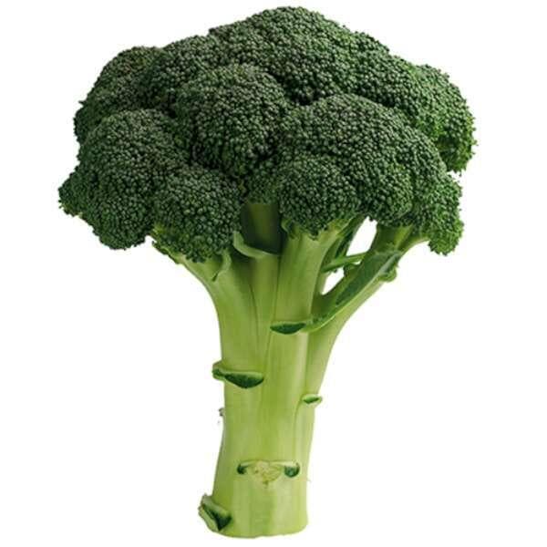 Broccoli