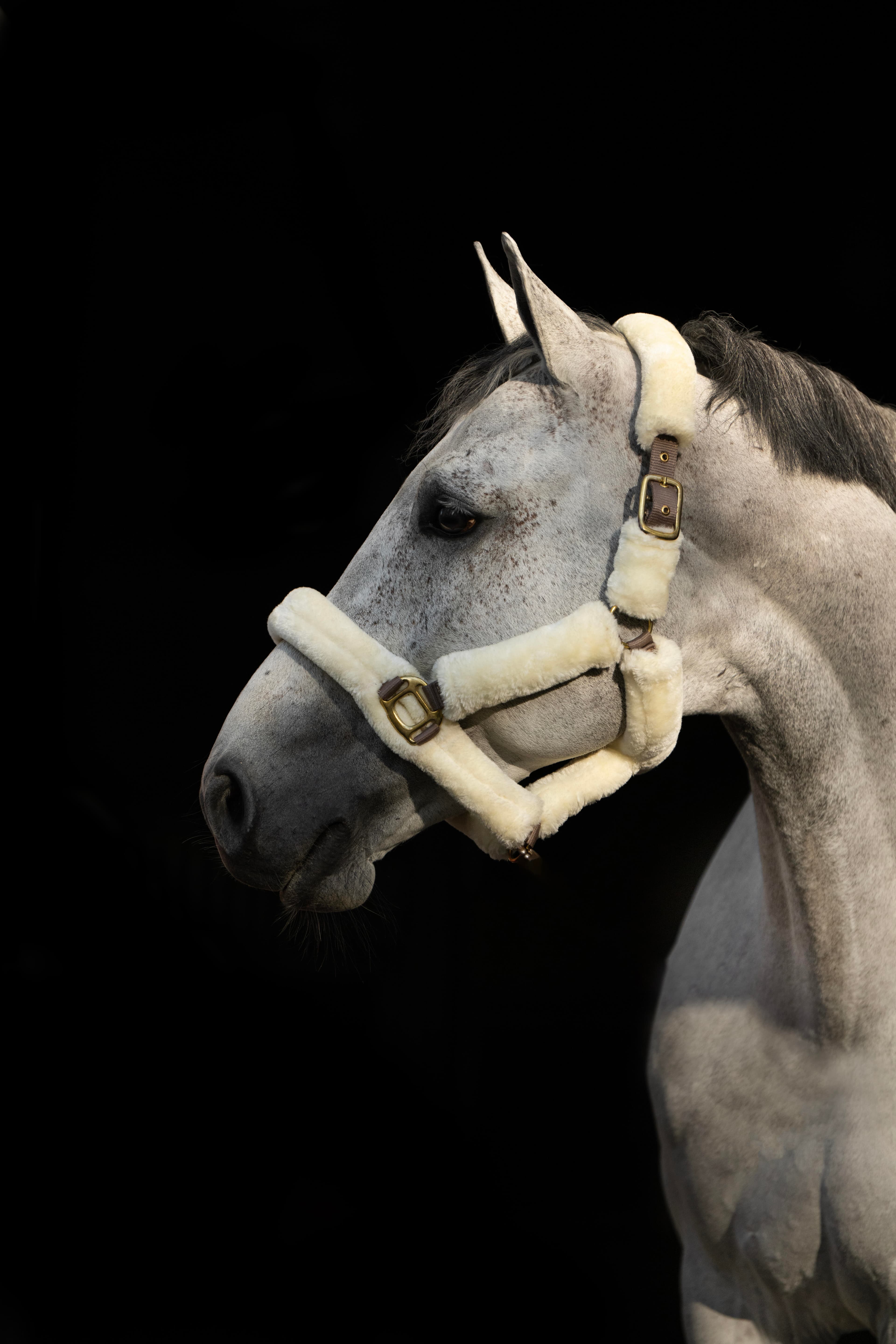 Grimma Fur Taupe Ponny